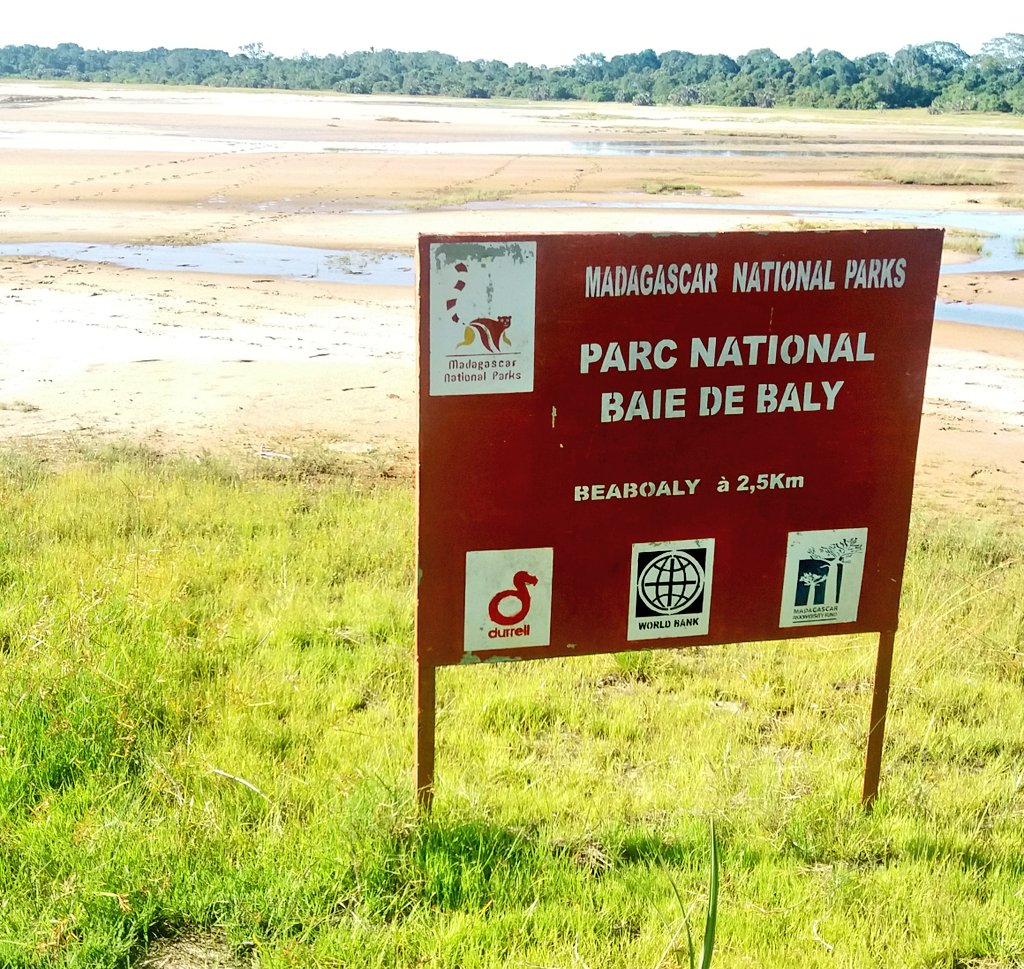 So after 5 days of travelling and planning I have finally arrived at Durrells base in Baie de Baly National park! So the Masters research can finally begin! #Durrell #Madagascarfieldwork #Swanseaunifieldwork #marineoutofwater <a href="/SwanBioMRes/">MRes Biosciences, Swansea University</a> @swanscience