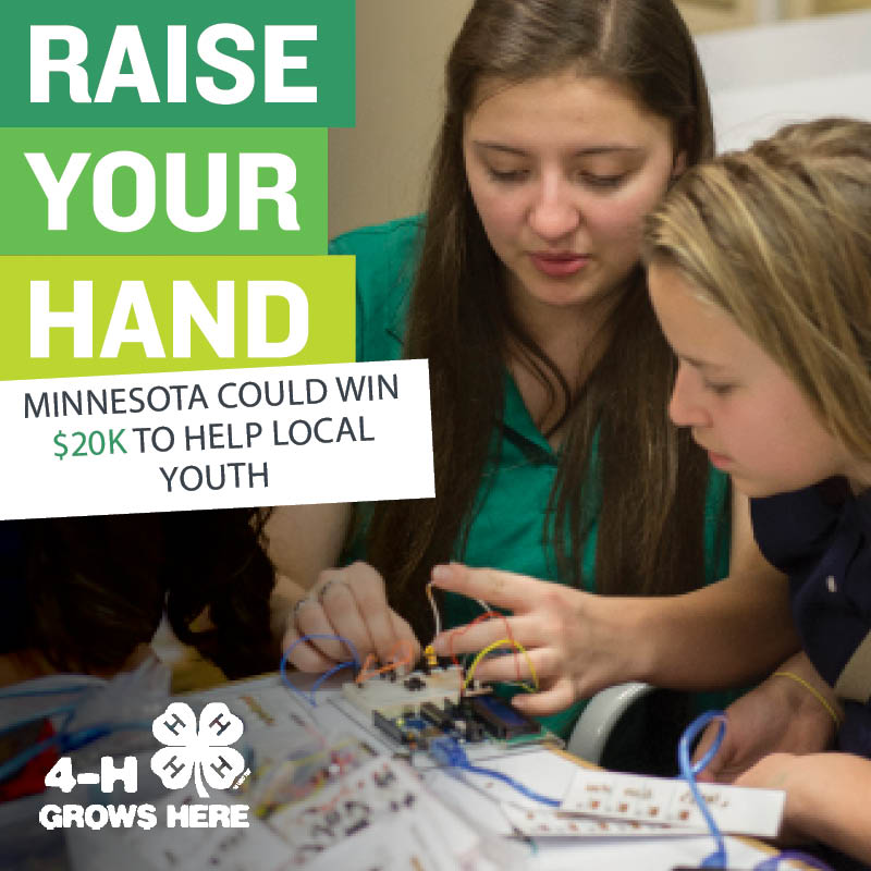 MN4HGIVE's tweet photo. The @4H Raise Your Hand is BACK! From today through May 15th, any 4-H alumni and friends can visit https://t.co/7nJabkM1pn, take 30 seconds to fill out the survey, and @MN4H can win money for our programs! https://t.co/cwHvYsb11D