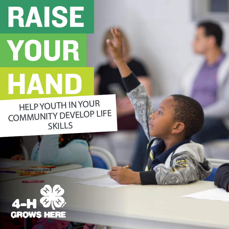 MN4HGIVE's tweet photo. We are one week into the 2019 Raise Your Hand Campaign! Have you raised your hand for @MN4H yet? https://t.co/4QDfLOdl65 https://t.co/TqiMRsiB5G