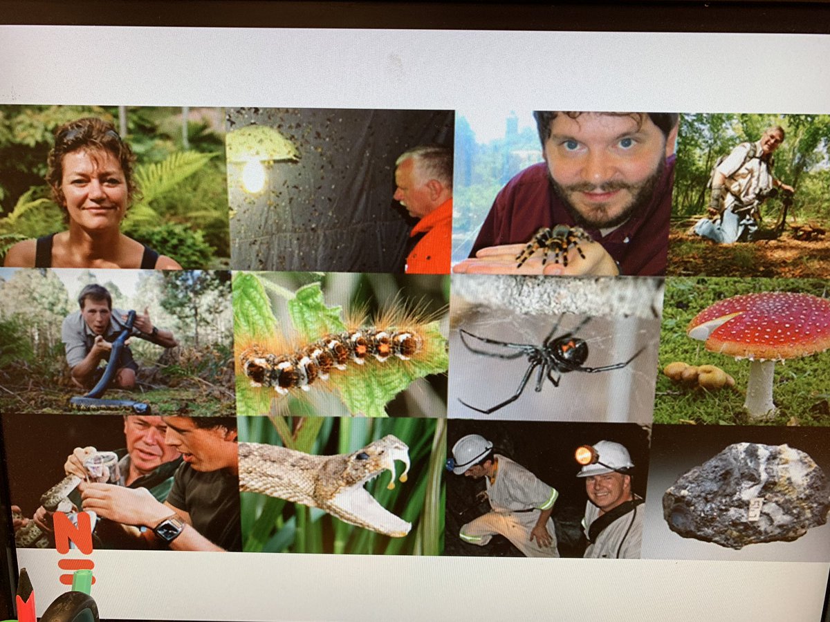 Groep6cQ's tweet photo. Een geweldig gave gastles van @museumnaturalis gehad! Vooral de opgezette dieren maakten veel indruk! Nu nog meer biologen in de dop.... #Naturalis #biodiversitycenter https://t.co/evkNLOXds2