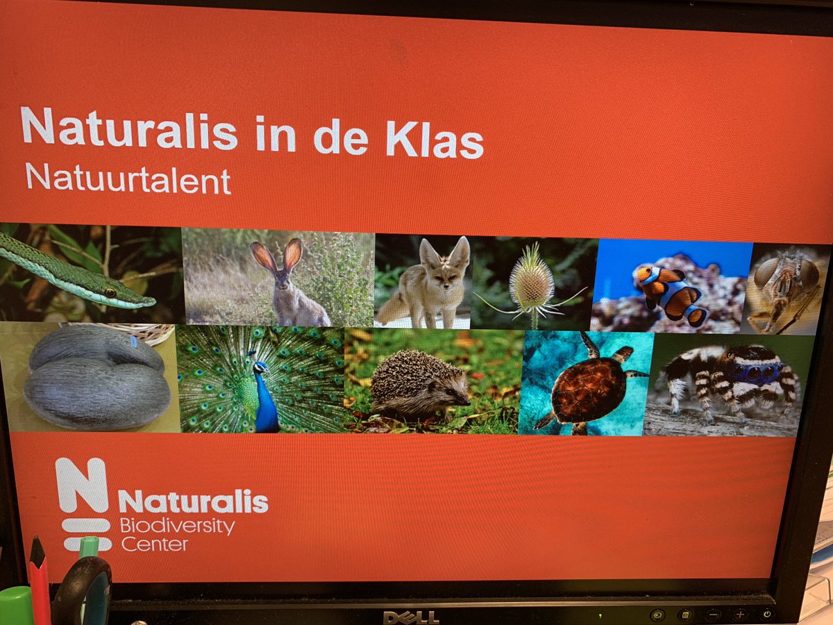 Groep6cQ's tweet photo. Een geweldig gave gastles van @museumnaturalis gehad! Vooral de opgezette dieren maakten veel indruk! Nu nog meer biologen in de dop.... #Naturalis #biodiversitycenter https://t.co/evkNLOXds2