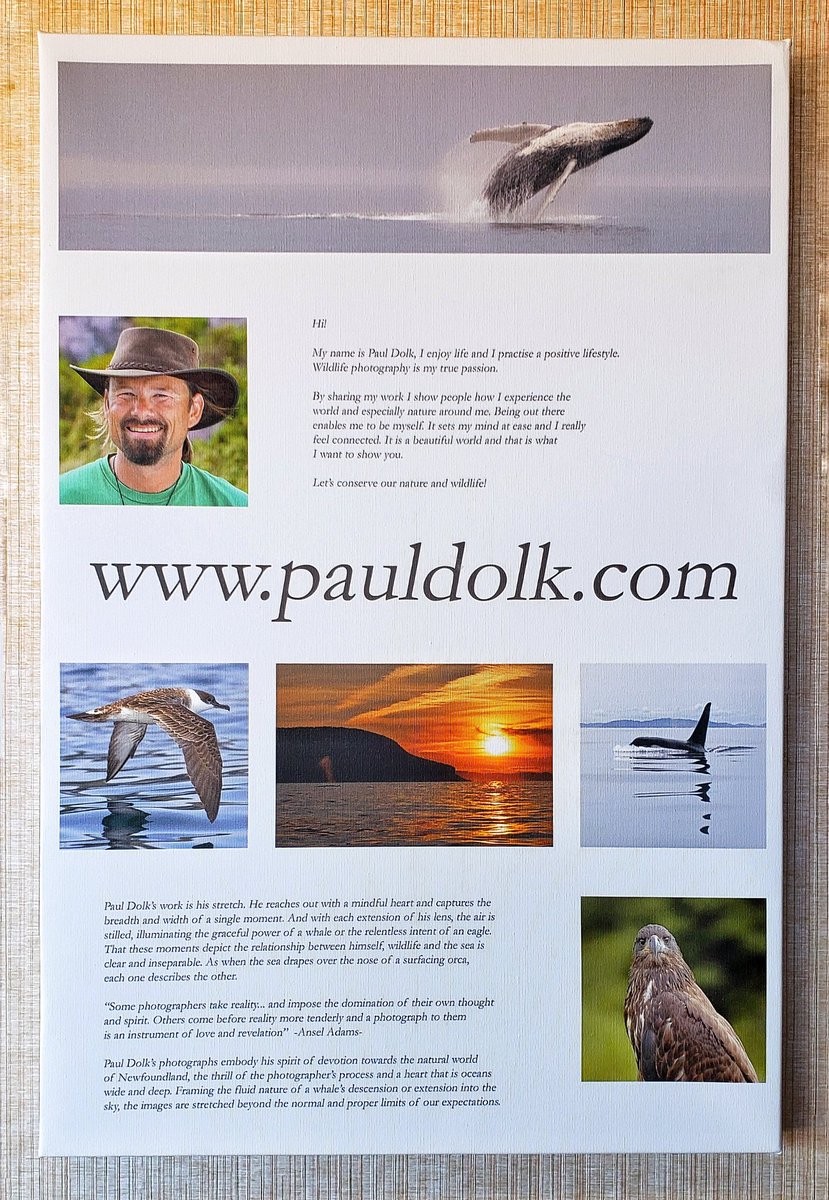 We're enjoying a very springlike day in @ClarenvilleTown at the <a href="/ClarenvilleInn/">Clarenville Inn</a>. We've welcomed <a href="/AndyHennebury/">Andy Hennebury</a> to the Board of Directors. We're looking forward to working with you, Andy!

P.S. We love seeing <a href="/PaulDolk/">Paul Dolk</a>'s artwork lining the walls of the Clarenville Inn!