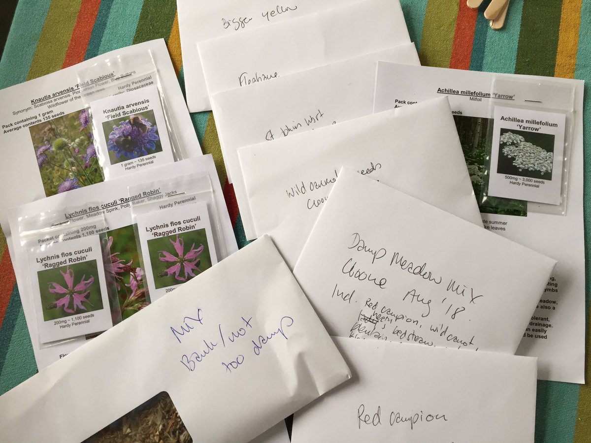 annetteand2dogs's tweet photo. This week, I shall be mostly sowing... โweedsโ! Or wildflower as I like to call them. Mostly collected from our garden and surrounding fields. (Yes, I left over 90% for nature!) #seedweek #meadowmaking #thisisanark https://t.co/sr5ynkBA1b