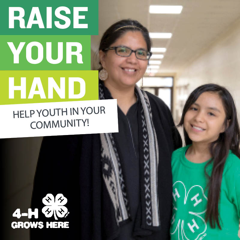 MN4HGIVE's tweet photo. Did you know? You don’t have to be a Minnesota 4-H alumni to #RaiseYourHand for @MN4H programs! Alumni and friends are encouraged to participate as well. https://t.co/4QDfLOdl65 https://t.co/uPoNrcmJcC