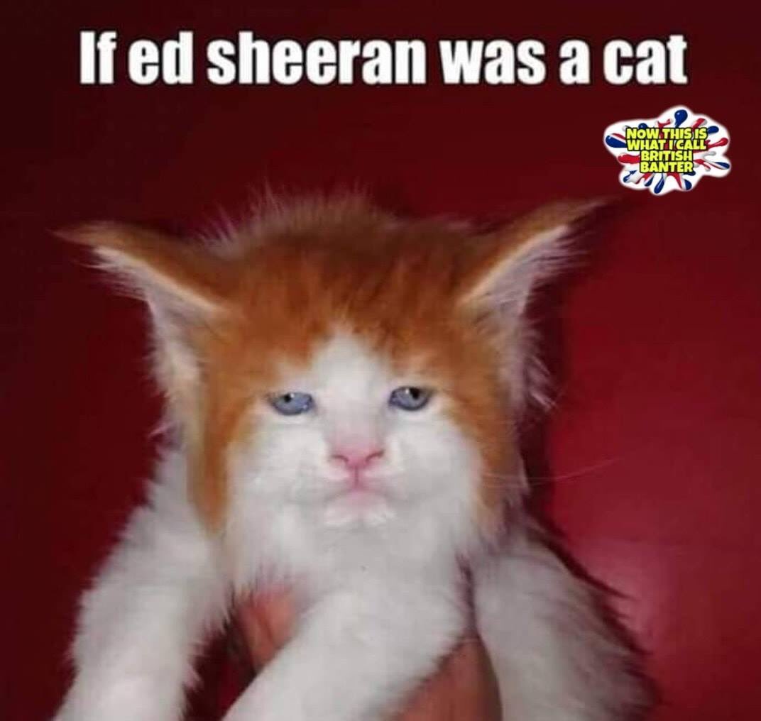 Neil__Lewis's tweet photo. Saw this and had to share ๐P.S - Looking forward to Fridays reveal of the pub !! @CapitalOfficial @edsheeran
#Shapeofbrew https://t.co/KfZgXMut0j