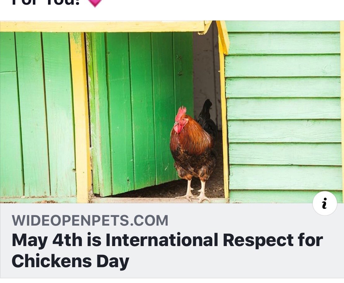 craymusic's tweet photo. You guys. The simulation is glitching. International respect for chickens day falls on none other than.. MY FUCKING BIRTHDAY. WHAT ARE THE FUCKING CHANCES https://t.co/qEaJ0UzkEf