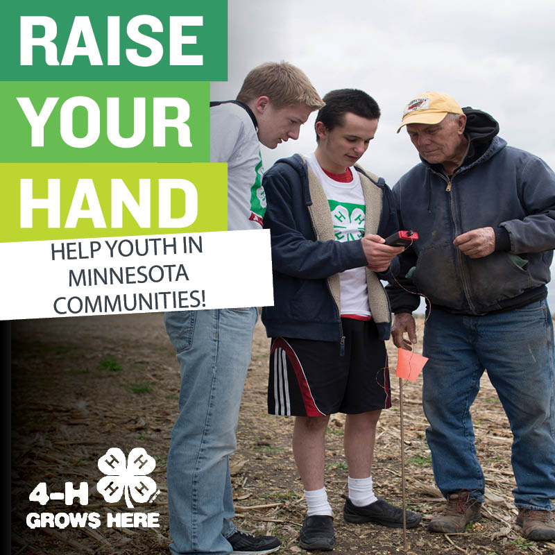 MN4HGIVE's tweet photo. If 4-H has made a difference in your life, share that by Raising Your Hand for the current @MN4H youth. https://t.co/7nJabkM1pn https://t.co/yD0VV5n77g