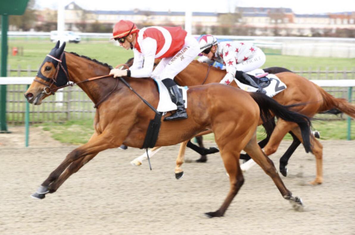Tweenhills's tweet photo. Charm Spirit’s daughter, OLYMPE wins the Class 1 Prix de la Pistole @fgchantilly today. Congratulations to all connections. Bred by @EcurieMonceaux #3yos #firstcropwinners 💫 #LFSS2018 https://t.co/HpdunuHsGs