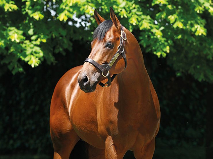 Tweenhills's tweet photo. Charm Spirit’s daughter, OLYMPE wins the Class 1 Prix de la Pistole @fgchantilly today. Congratulations to all connections. Bred by @EcurieMonceaux #3yos #firstcropwinners 💫 #LFSS2018 https://t.co/HpdunuHsGs