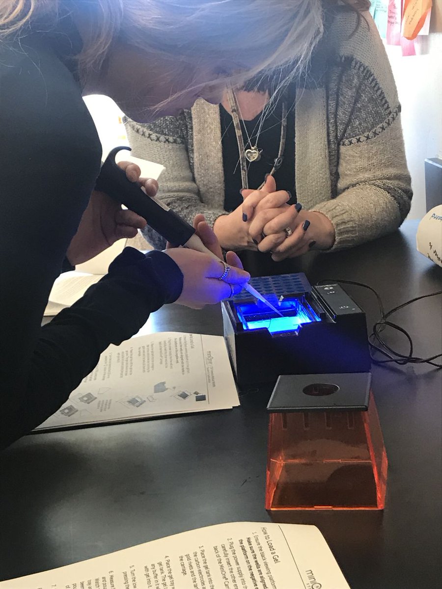 EssexNorthShore's tweet photo. #ENSAcademics and #ENSCTE working together! Forensics students (with equipment from Biotech) performed a gel electrophoresis in order to solve a murder! #HawkTalk #ENSATS https://t.co/qdvQVwSF3v