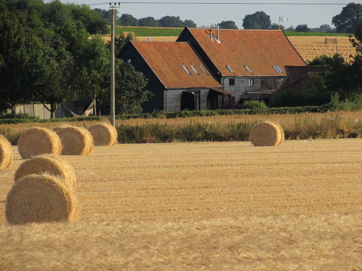 TheHolidayCots's tweet photo. Sisland Tithe Barn in Norwich, Norfolk has various dates available for a spring break. Contact the owner directly to book your stay.
Sleeps 1-6
https://t.co/pxOGeNxHS2
#LateAvailability #BookNow #BookDirect #SelfCatering #HolidayBarn #PetFriendly #Family #Norwich #Norfolk #UK https://t.co/rhI1V73wKb