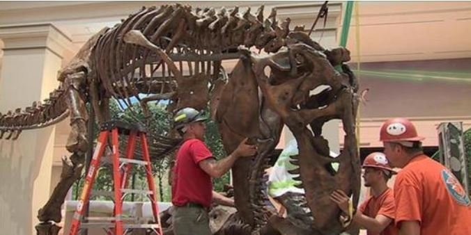 QuinteEcDev's tweet photo. When we talk about #MadeInQuinte, almost nothing is cooler than including dinosaurs in the diverse group of products.  WATCH this piece on Bay of Quinte's own @ResearchCasting's work over the past 5 years for the @smithsonian .  https://t.co/diGiB3lsKy 🇨🇦🦖 https://t.co/OlbVWBYPJ6
