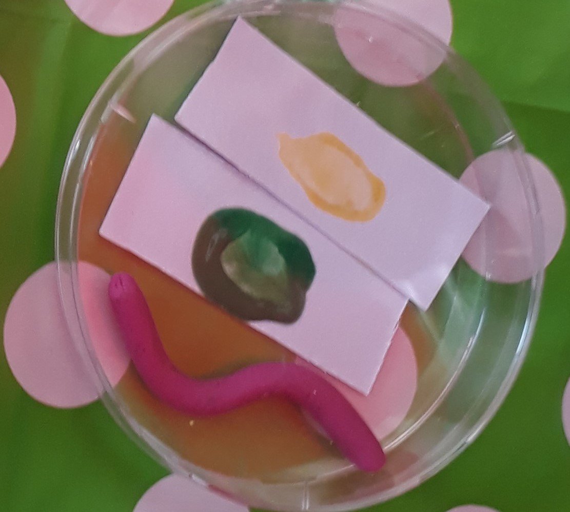 anahelang's tweet photo. Here is our palette and some of the beautiful art, inspired by science
Best sentence of the day: "Can I go to your school?" 💚
That was a happy St Patric's Day! Thank you! https://t.co/d0mdqjXMxp