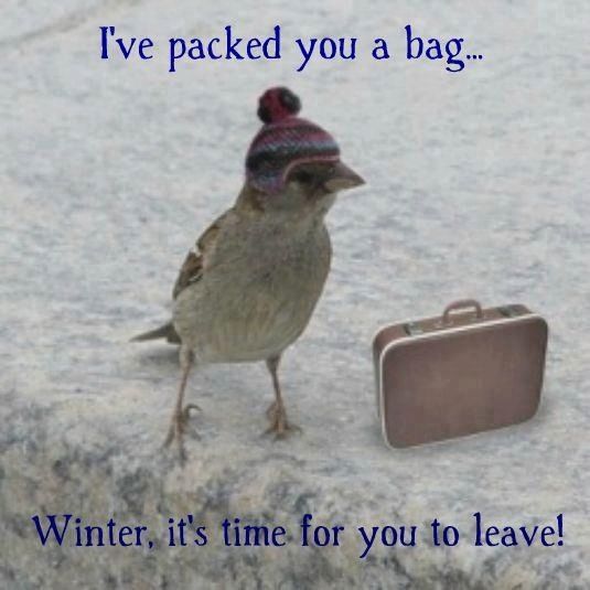 MetroHondaUnion's tweet photo. I've packed you a bag winter
It's time for you to leave..........#TuesdayThoughts on #SpringEve https://t.co/fR2JsK9yil