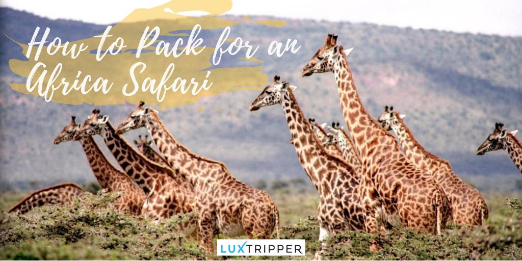 Planning for your Africa holiday but not sure where to start? Don't sweat! Avoid the pre-holiday stress and follow our top tips for packing! bit.ly/2WacZk1 #Luxtripper #AfricaHoliday #LuxuryHolidays #Safari #luxurylifestyle #honeymoons #holidays #Africa #travel 🦁 🐘🦒