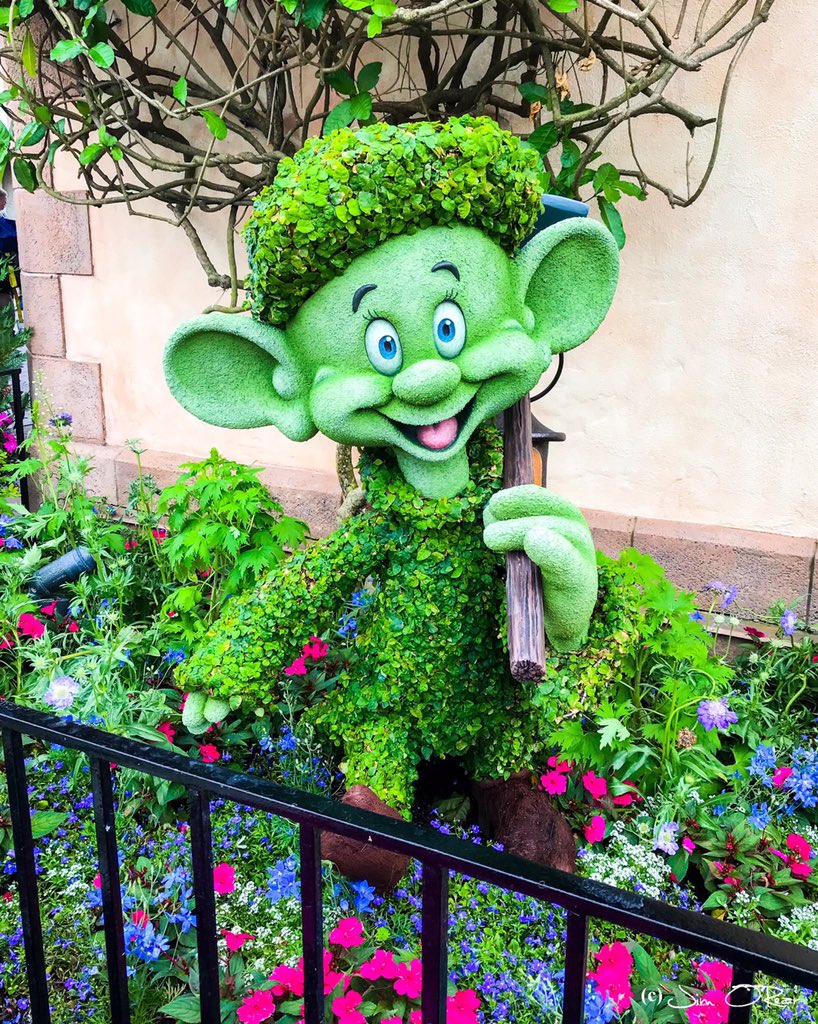 jimorear's tweet photo. Phone pic from the International Flower & Garden Festival.
#actorslife #Disney #Epcot #international #Flowers #garden #festival #ifgf @Disney @WaltDisneyWorld https://t.co/HFqPDpkejV