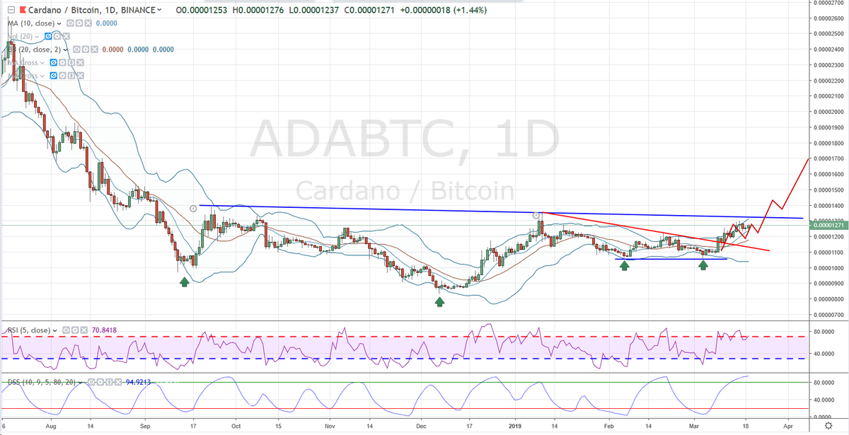 Bob Loukas 🗽 tweet media