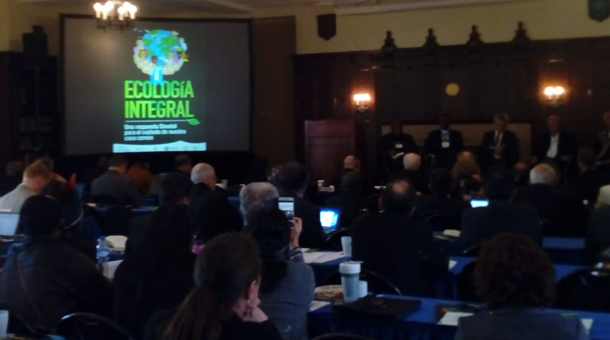 'Climate change is happening now! So many of our islands in Oceania are disappearing. The sea is rising!'

- Cardinal Ribat of Papua New Guinea at conf on the Amazon Synod & #IntegralEcology #EcologíaIntegral