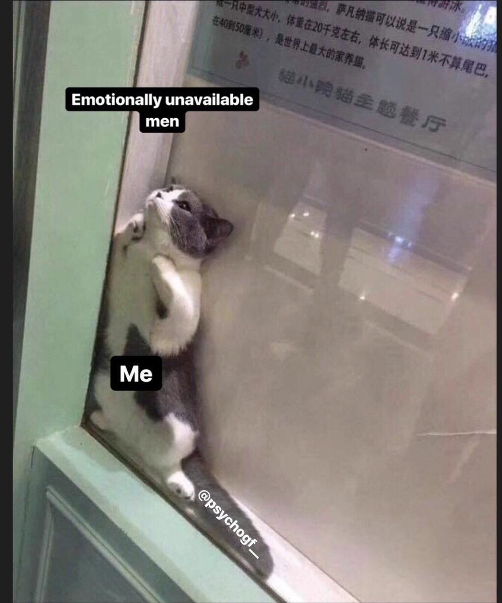 psychogf_'s tweet photo. I made a meme attacking myself https://t.co/THRlH5QXZg