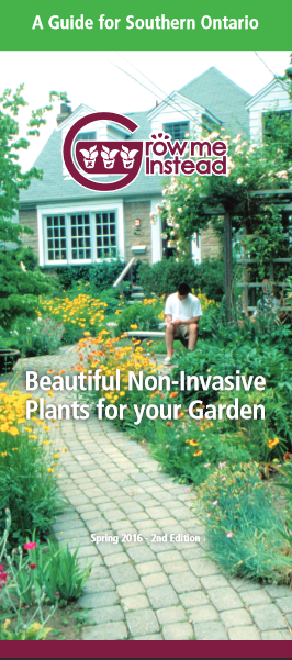 BEANOntario's tweet photo. Spring has almost sprung and its put us in the mood for planting! Planting native species that is! Check out the Grow Me Instead Guide from
@OIPC1 to learn what native species would do well in your garden!  Download your free copy at https://t.co/RaNdKgeVUy https://t.co/4KxUHTFgvX