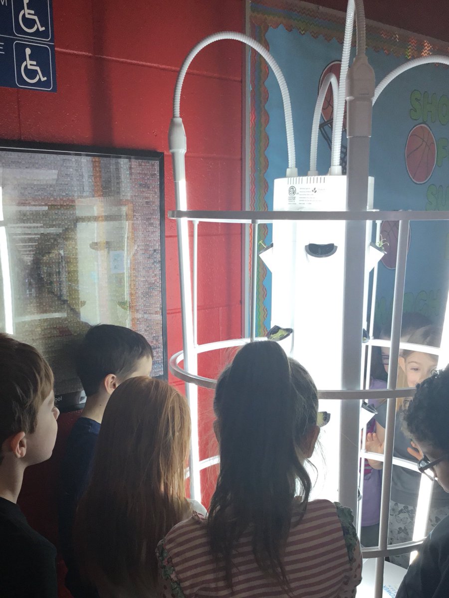 Spring Road Elementary tweet media