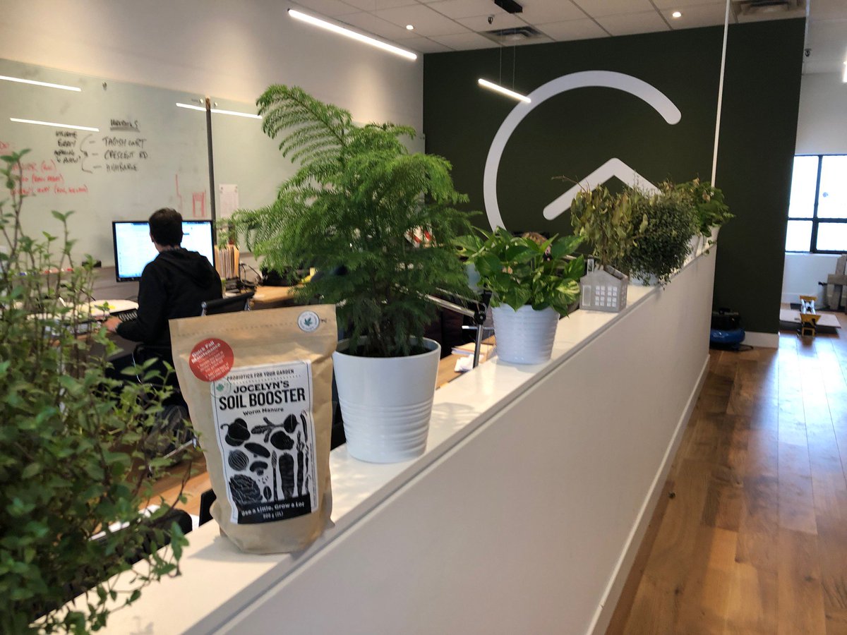 GreeningHomes's tweet photo. Office #vermicomposting is easy peasy! @WastenotWorm picks us our organic waste in exchange for the best plant food possible. Thank you worms! https://t.co/xIIO0NcRGf #Vermicompost #compostcollection #Toronto https://t.co/Zh38imp7dT