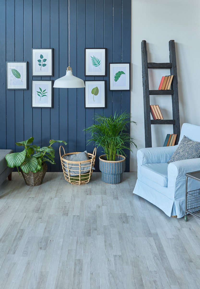 Selectonepaints's tweet photo. Create a fresh & welcoming corner to come home to with
2019's colour of the year, Into the Stratosphere 0627.
🇨🇦Selectone Paints, proudly made in Canada since 1913!
#Canadian #paint #interiordecoration #interiorstyling #painttrends #diyhomedecor #mydecor #myfabhome #myhomevibe https://t.co/mtMZm9VOoG