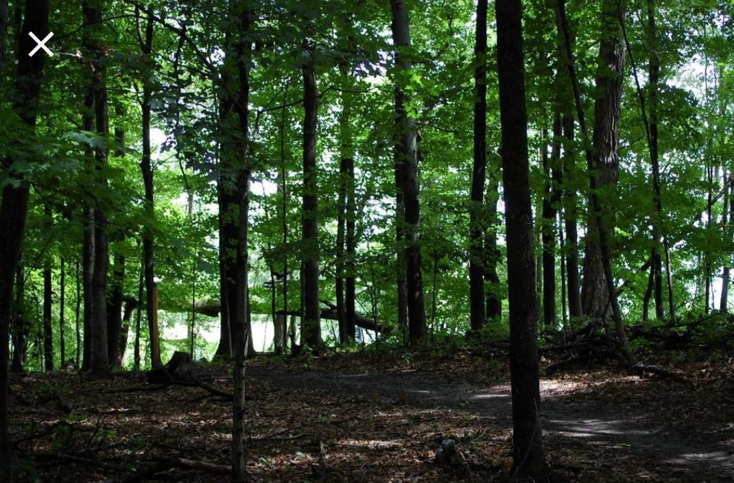 HolytownPS's tweet photo. *Woodland Wonderland*
The Children are going to be offered more opportunities to learn outdoors. On a weekly basis Miss Woodlock will be taking a small group of children to experience outdoor learning.#moreinfotofollow https://t.co/GcaKwmRc1A