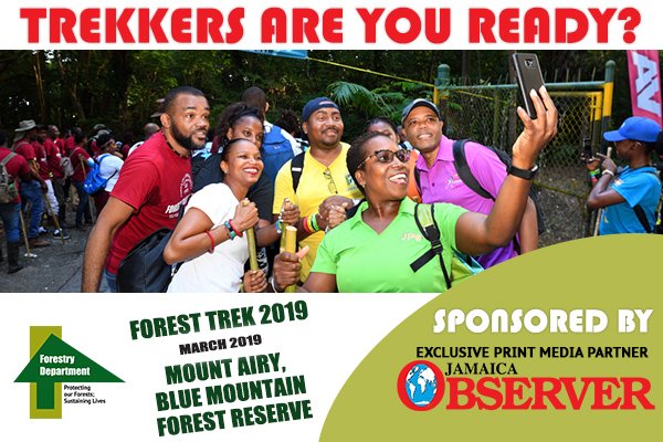 ForestryDeptJa's tweet image. TREKKERS, ARE YOU READY?

Four Days to Go!

We are excited to have our exclusive print media partner on board with us once more for Forest Trek 2019.
Thanks @jamaicaobserver for your continued support.
...
#SponsorHighlight
#ForestTrek2019
#ForestryDeptJa