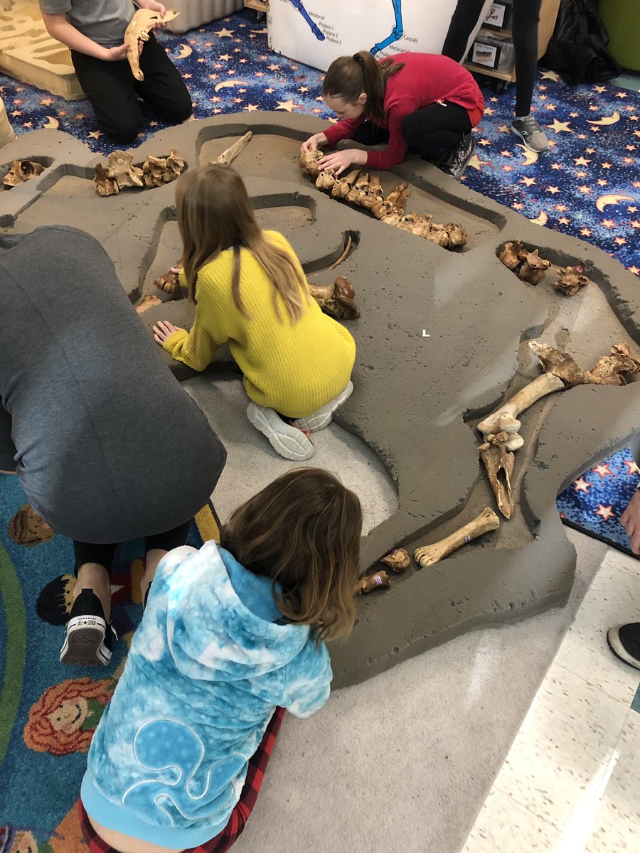 fcsfearless4s's tweet photo. Discovering Archaelogy today with a bison skeleton.  #FCSinpired #FCSturns25 
#glenbowranchparkfoundation https://t.co/TnWCmZazDH