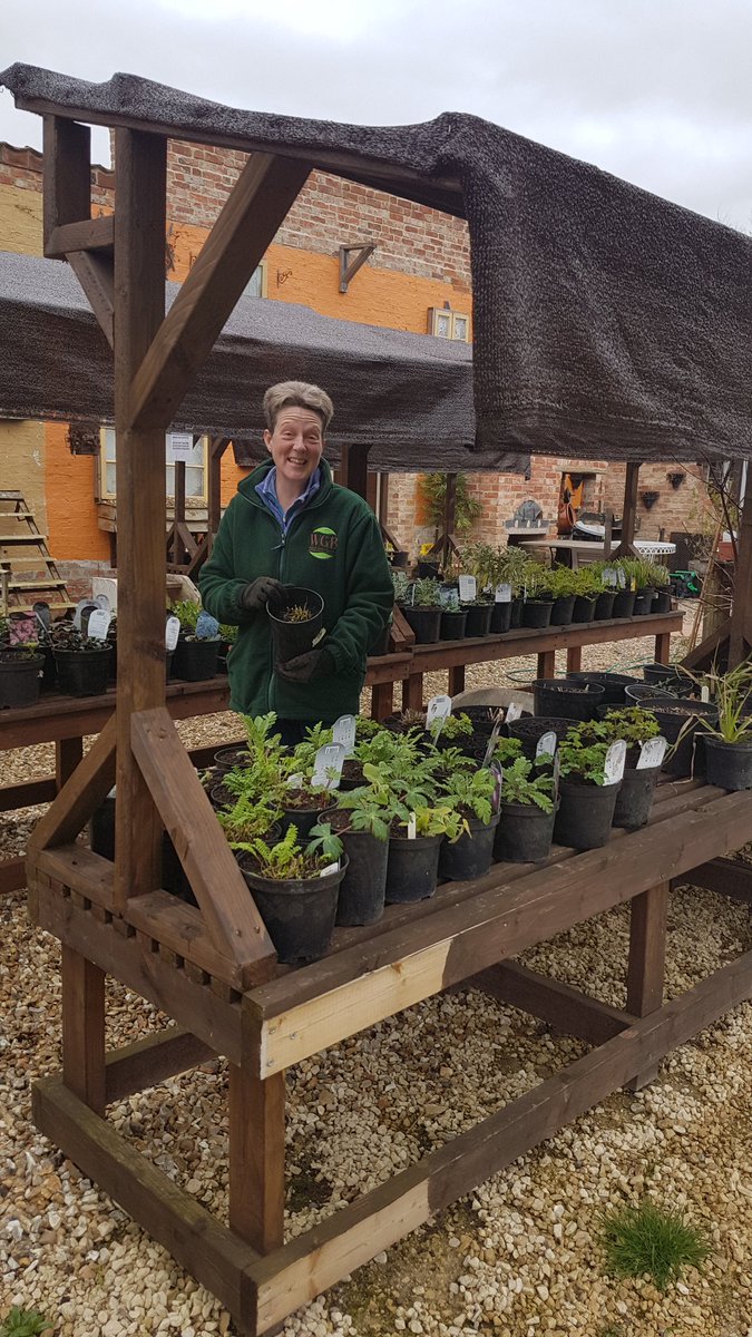 The sun's been shining with the sun on their backs Hilary, Kim and Jayne have been busy in the garden, tidying up the white beds, the bulbs are shooting through! spring is definitely in the air x #TuesdayMotivation #bulbs #teamwork <a href="/Visit_Lincs/">Visit Lincolnshire</a> <a href="/BaumberGarden/">Walled Garden Baumber</a> <a href="/Lincs_Gardens/">LincolnshireGardens</a>
