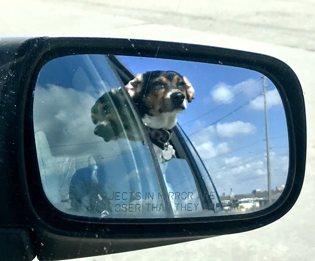 The weathers do not have the very warms but do not have the very colds either so when car ridings happen, I can be getting all the smells very fast!