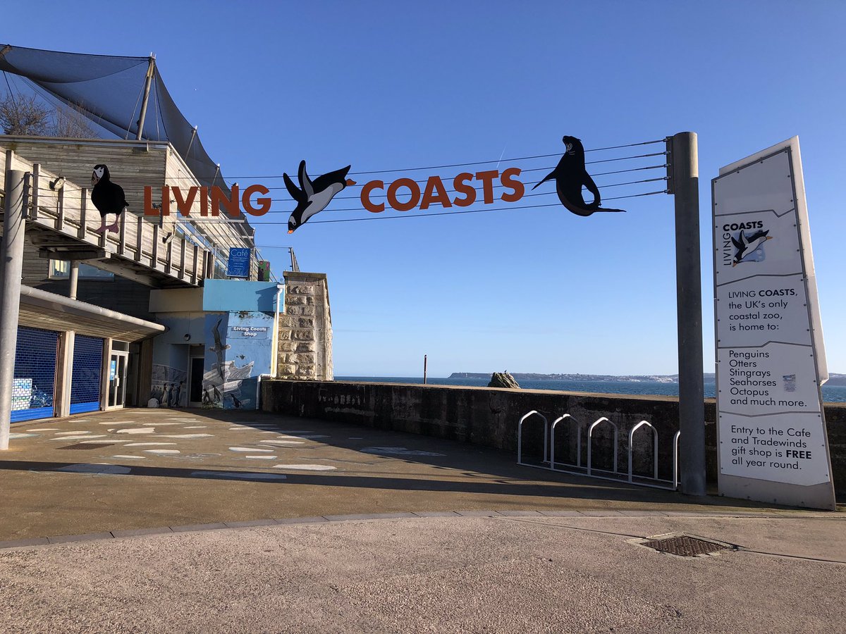 Fun day dropping off @thefishmish #catchoftheday #fish to @LivingCoasts They’re part of their #sealife entrance display so pop over to see #COD and also support a great attraction in #Torbay @BBCDevon @DevonLiveNews @dimbleby_jd @SpratSprat33 @PaigntonZoo