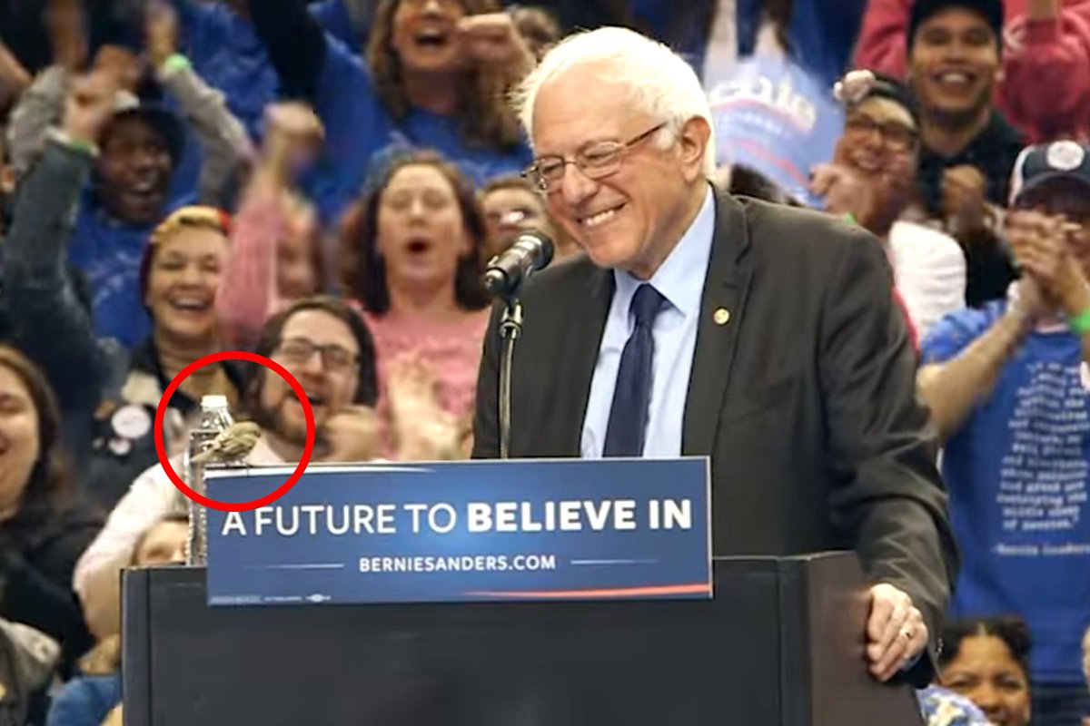 BirdsBernie's tweet photo. #birdsforbernie #birdsforbernie2020 https://t.co/l4UejVOm91