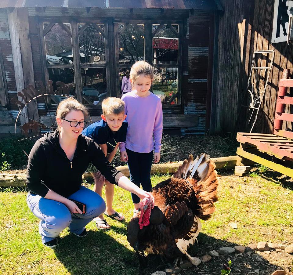 threechicksfeed's tweet photo. Trey is in full strut and ready for spring! Come out and enjoy a glass of lemonade on the porch swing today and soak up some of the beautiful sunshine here at Three Chicks Feed 4045 Genoa Rd Texarkana Arkansas! https://t.co/2RK2a0guFr