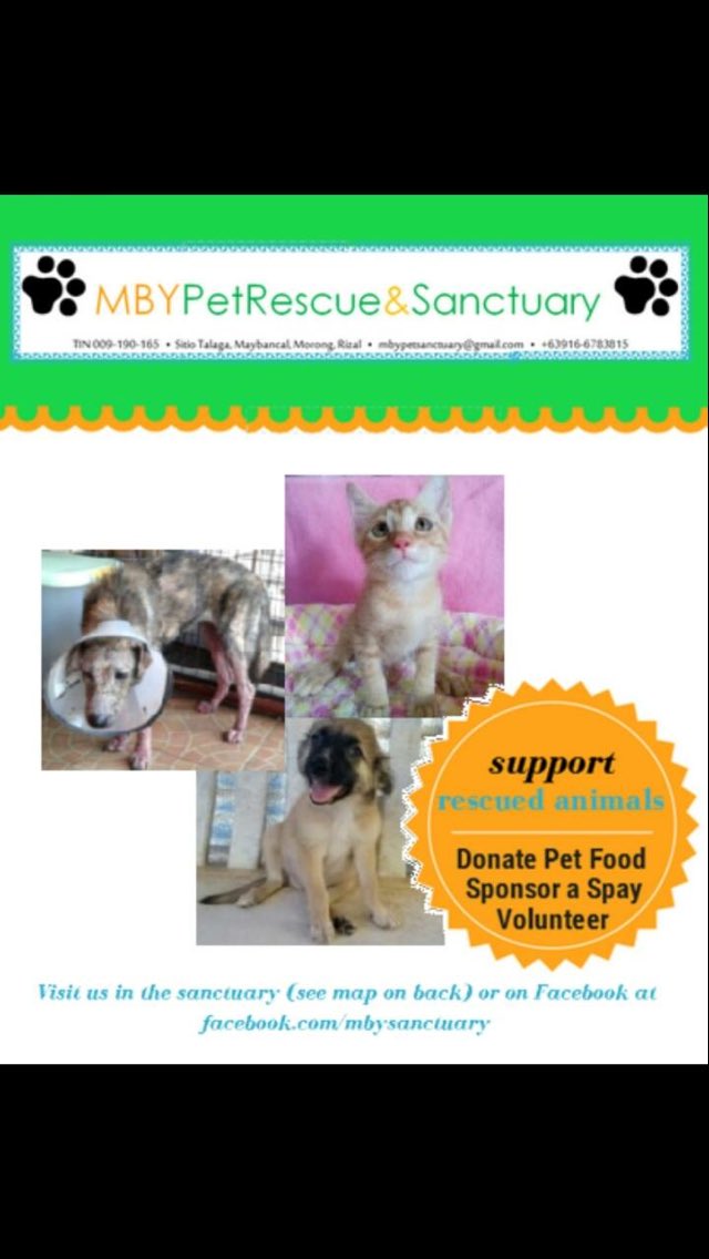 taal_animals's tweet photo. My heart is really hurt knowing na sobrang daming animals ang nagugutom because of lack of donations. Bukod sa foods, nagastos din sila ng transpo para marescue yung dogs/cats na narereport nila kahit sa malayong lugar pa. Kindly send some help. 

WATCH:
https://t.co/GxDxaKPUnJ https://t.co/67ADDYPK3Y