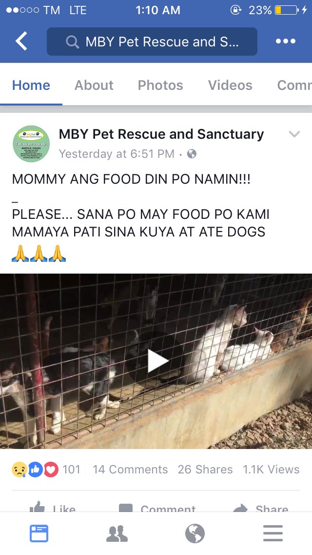 taal_animals's tweet photo. My heart is really hurt knowing na sobrang daming animals ang nagugutom because of lack of donations. Bukod sa foods, nagastos din sila ng transpo para marescue yung dogs/cats na narereport nila kahit sa malayong lugar pa. Kindly send some help. 

WATCH:
https://t.co/GxDxaKPUnJ https://t.co/67ADDYPK3Y