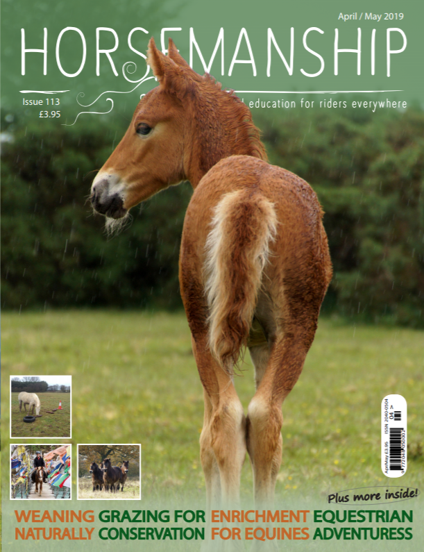Coming soon: articles on weaning foals, enrichment, conservation grazing, loading, vaccinations, the muscles of the lower face, neonatal isoerythrolysis, acupressure for hoof health, the life of an equestrian adventuress, and more! Out in digital and print on 1st April.