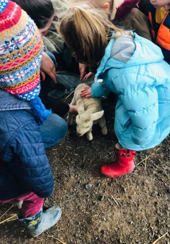 One of those days you love working in early years... we went to the farm! We fed the lambs, saw cows, avoided the barking dog and learnt about different machinery. 
#earlyyears #eyfs #outdoorlearning #greatoutdoors