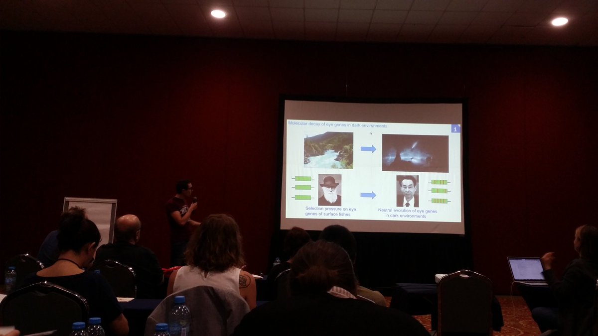 BoudjemaImaraz1's tweet photo. Maxime Policarpo from #EGCE presenting his results on light-processing genes in cavefish at #AIM2019 https://t.co/kNtcWaFAtw