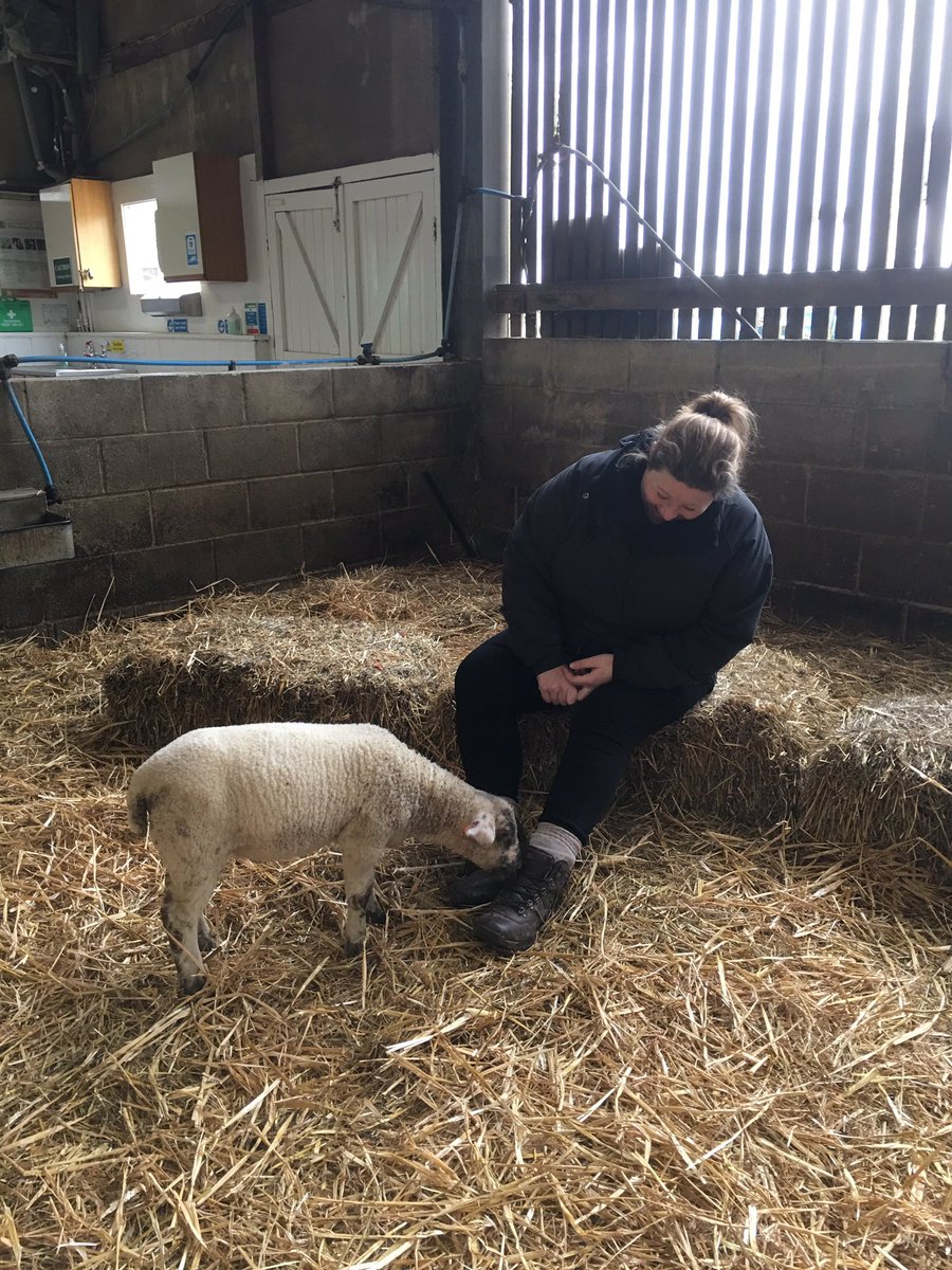 Down in the animal sheds with Yr9 WKS @prospectschool. Meeting the new arrivals. @ASDANeducation @PrincesTrust #No1SchoolinReading