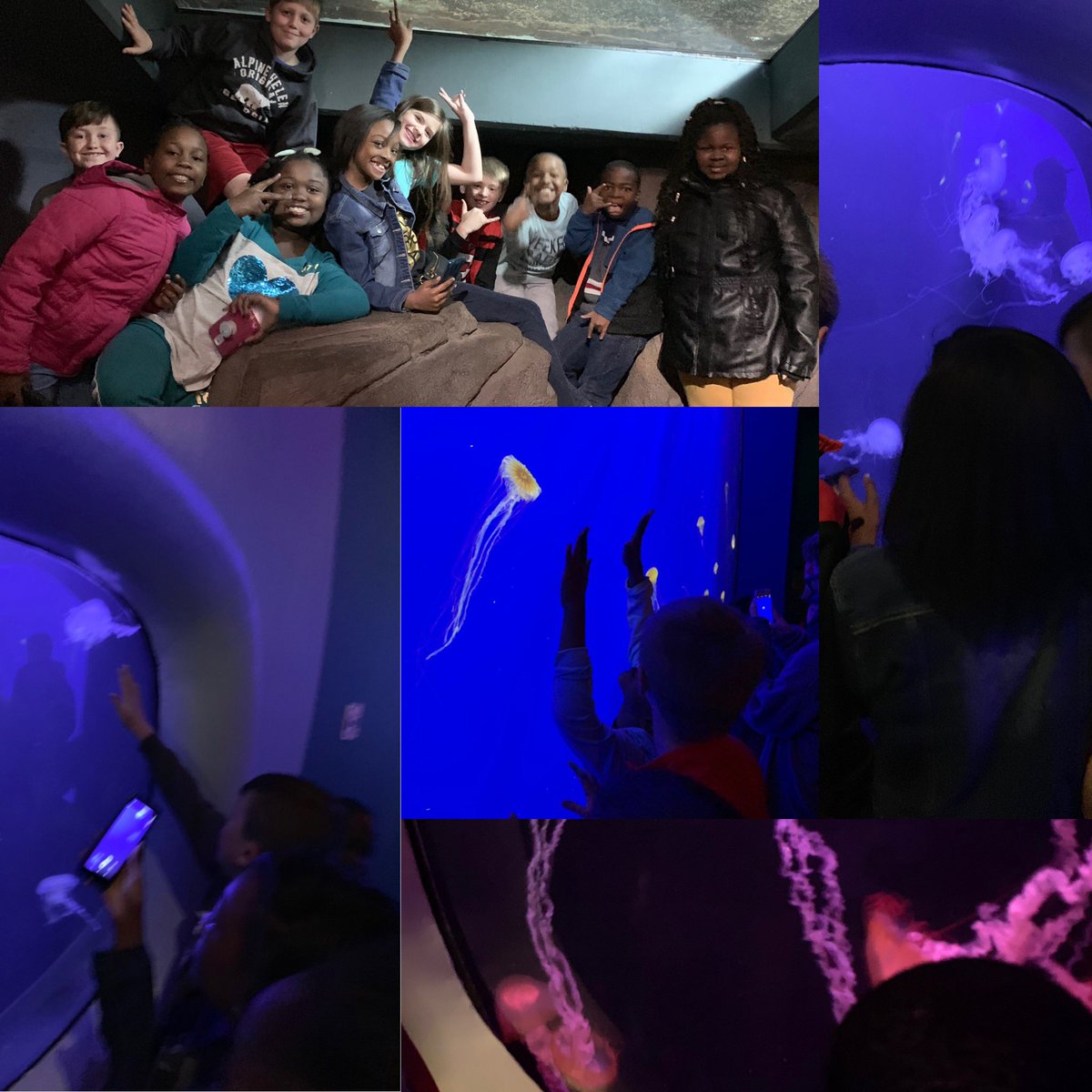 MrsMathTech's tweet image. So thankful my Ss experienced these beautiful ecosystems today!! Just look at those smiles!! #CougarStrong #NCSSBeTHEBEST #RPESrocks @RPES_Cougars @HopeFBarr @crewscontrol47 @jones_mira