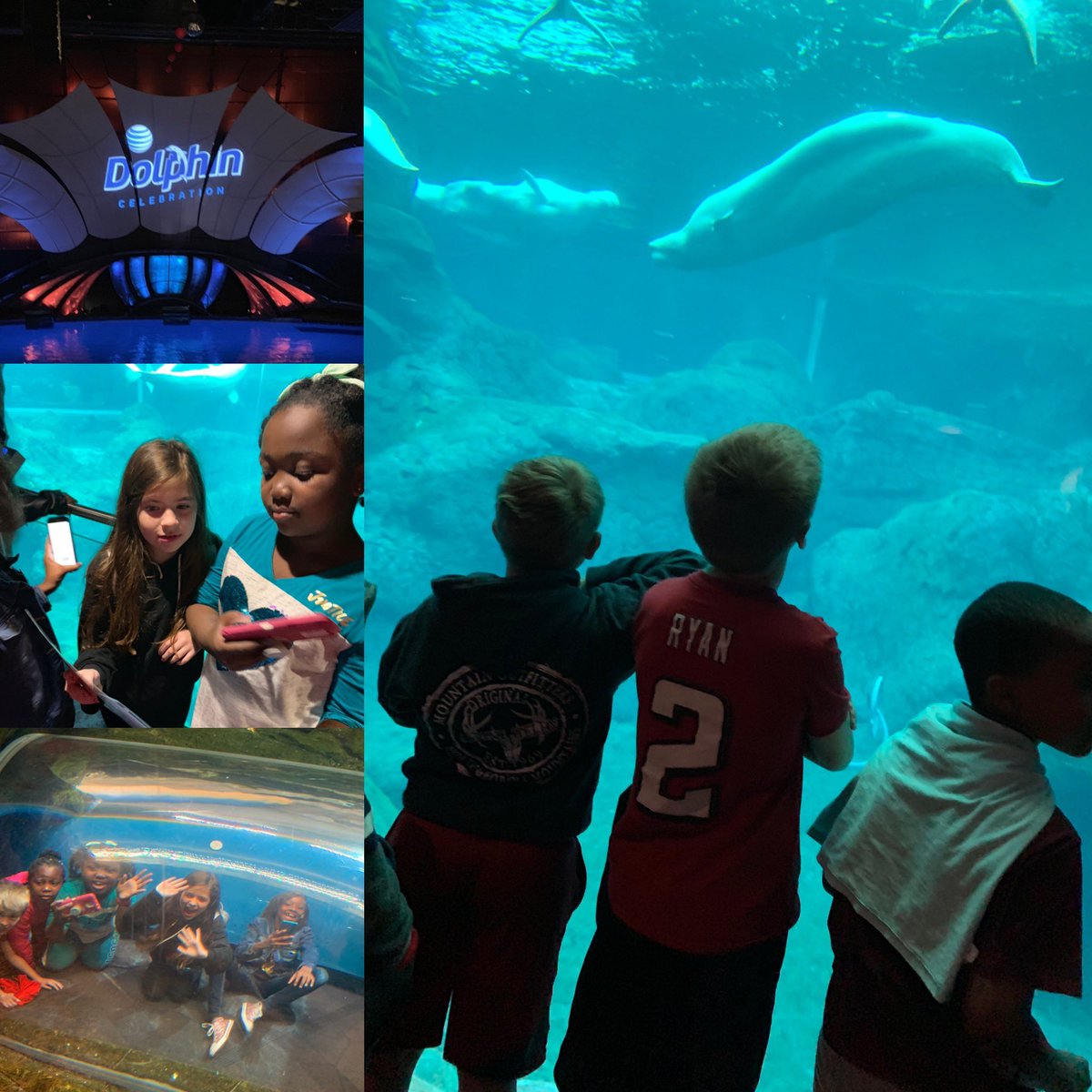 MrsMathTech's tweet image. So thankful my Ss experienced these beautiful ecosystems today!! Just look at those smiles!! #CougarStrong #NCSSBeTHEBEST #RPESrocks @RPES_Cougars @HopeFBarr @crewscontrol47 @jones_mira