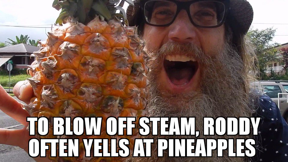 RoddyAlohaBrah's tweet photo. Roddy Aloha!!! #comedy #Hawaii #webseries #RoddyAloha #jeremyisajerk #shaka #thong #bulldogmicheal #Ireland #thongkat #sunbather #mahalo #thongdog #beach #surfing #pakalolo #WillieWheed #HIRidez #television #HarryHo #pineapples #tammysteele #meganaloha #hilohawaii #EvannaSteele https://t.co/gauBJzp6kP