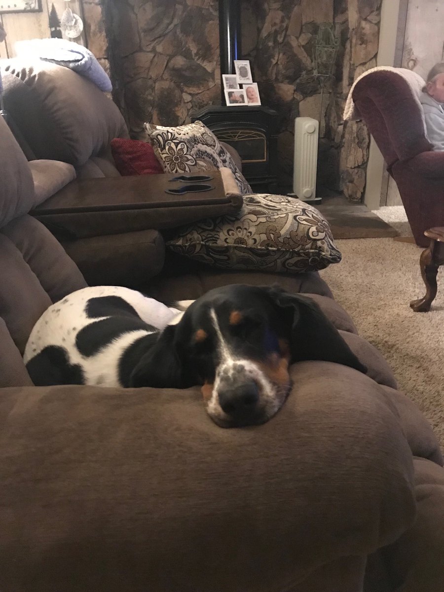 NomadMerryMary8's tweet photo. Not much different today than yesterday...
Oh wait, we have Puppy Training tonight ~ #BetterGet WithIt‼️ https://t.co/tDaNANotTV