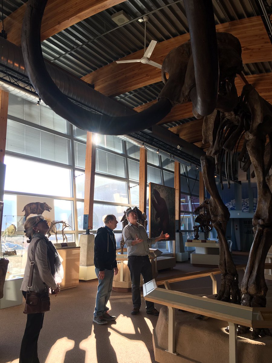 TravelYukon's tweet photo. Learning all about the last great ice age at the @yukonberingia that doubles as a beautiful event space #MeetingsYukon #YCBFAM #YCBMember https://t.co/T0CwJarRxg