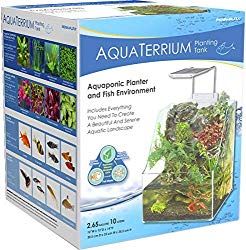 Grow live plants along with your fish! Perfect for nature lovers!                                                                   
Download the Giftlist App NOW
smarturl.it/giftlist   amzn.to/2TzM6cG     
#Giftlistapp #alwaysgetwhatyoure #AquaTerriumPlantingTank