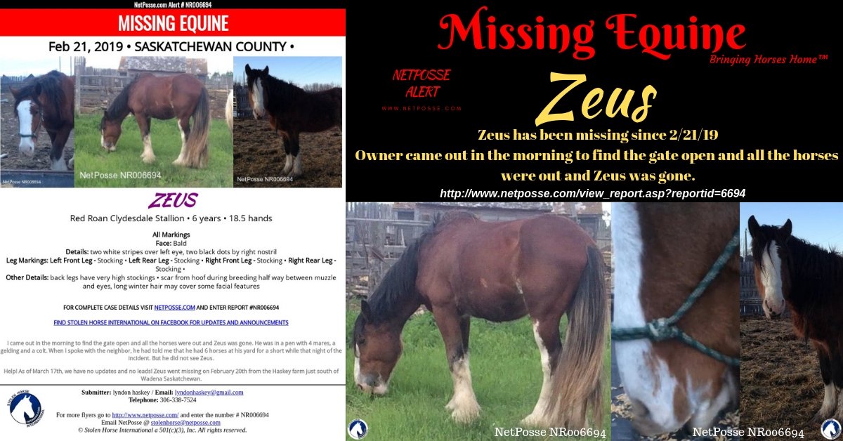 netposse's tweet photo. NetPosse™ Missing Equine – Zeus
Date of Incident: February 21, 2019
Last Known Location: Wadena, Saskatchewan, S0A 4J0, Canada
Please help us locate Zeus and bring him back home where he belongs!
https://t.co/L6X8oGBjzK
#Missing #Horse #EveryShareHelps #NetPosse™ #Canada https://t.co/EJfJo2d4Vj