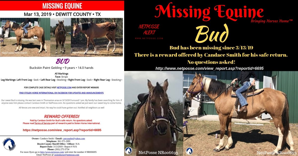netposse's tweet photo. NetPosse™ Missing Equine – Bud
Date of Incident: March 13, 2019
Last Known Location: Thomaston (Dewitt County), TX
Please help us locate Bud and bring him back home where he belongs!
For more details: https://t.co/SxOr0z1Y1R
#Missing #Horse #EveryShareHelps #NetPosse™ #Texas https://t.co/Vk8OcGu6tf
