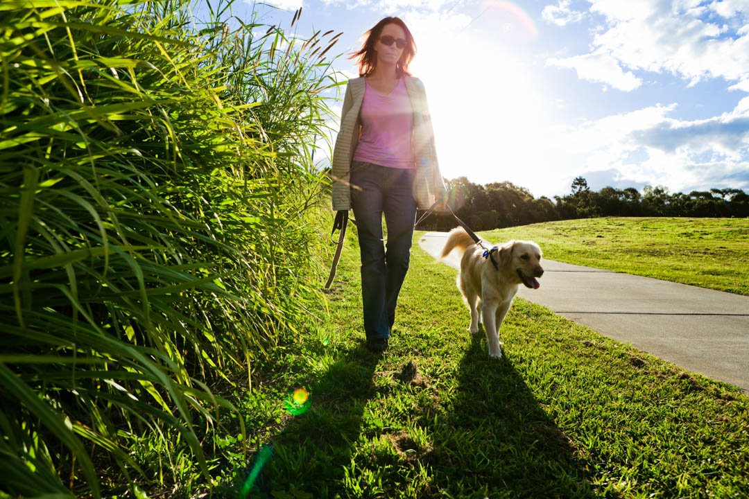 LuckyAgency's tweet photo. Stay up-to-date on our #serviceofferings including: #PetTaxi, #AnimalHouseSitting and #DogWalking! We look forward to hearing from you! Give Us A Call at # (203) 793-6450 today! #PetSitter #CatCare #AnimalSitting #PuppySitter #Stamford6907 https://t.co/cXQWsM775H https://t.co/L5EEuGS3P1
